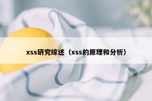 xss研究综述（xss的原理和分析）