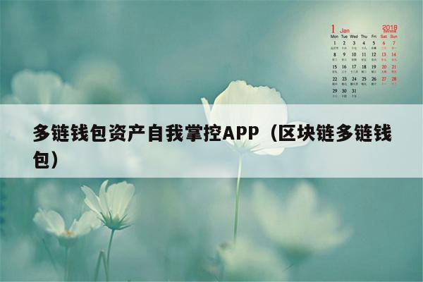 多链钱包资产自我掌控APP（区块链多链钱包）