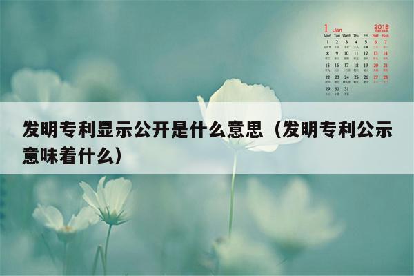 发明专利显示公开是什么意思（发明专利公示意味着什么）