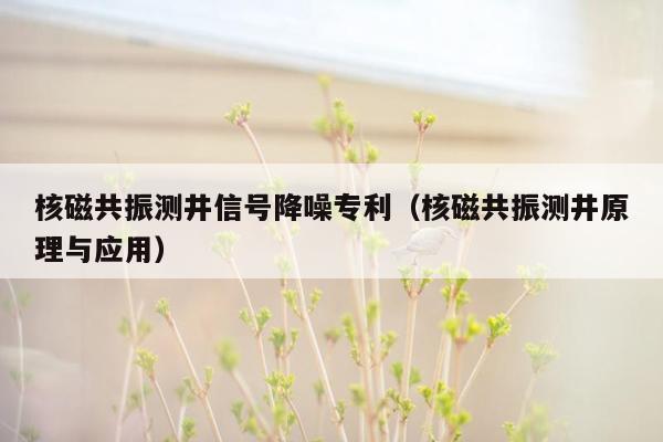 核磁共振测井信号降噪专利（核磁共振测井原理与应用）