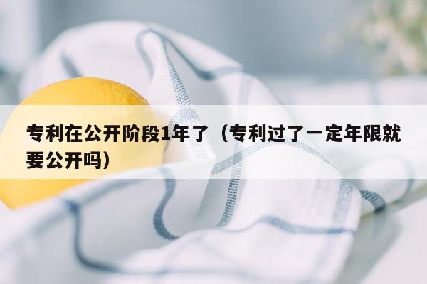 专利在公开阶段1年了（专利过了一定年限就要公开吗）