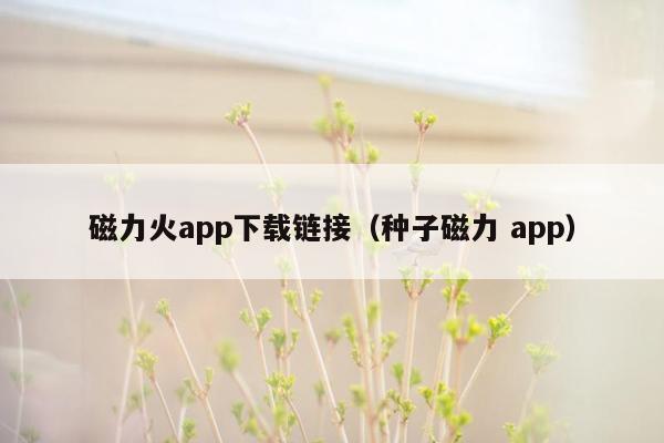 磁力火app下载链接（种子磁力 app）