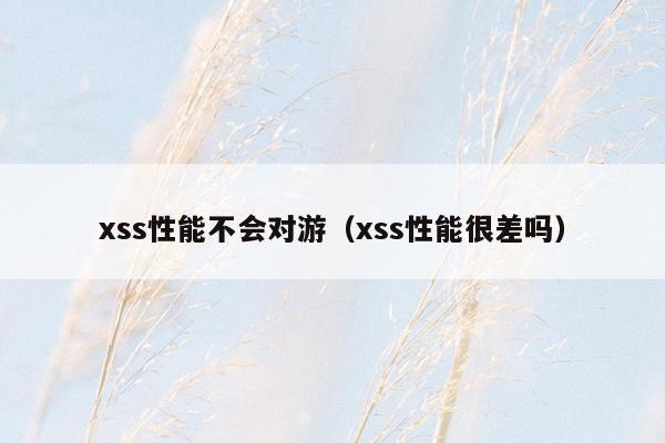 xss性能不会对游（xss性能很差吗）