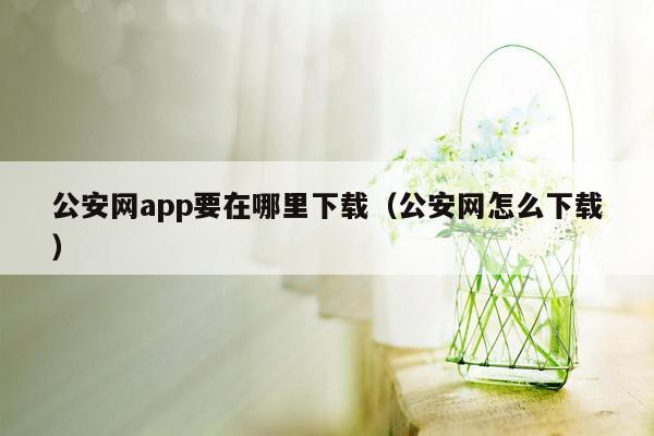 公安网app要在哪里下载（公安网怎么下载）