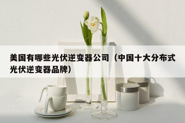 美国有哪些光伏逆变器公司（中国十大分布式光伏逆变器品牌）