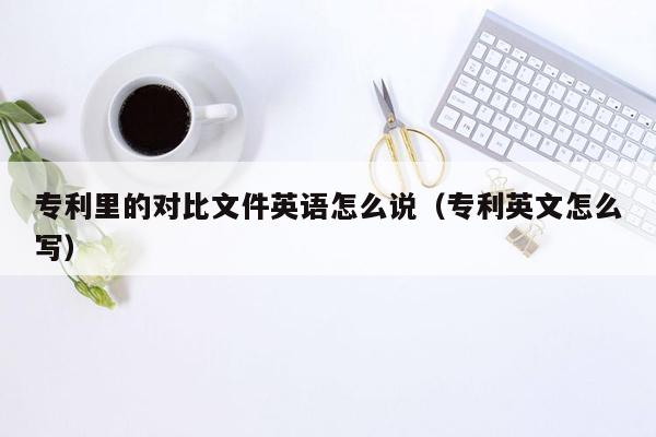 专利里的对比文件英语怎么说（专利英文怎么写）