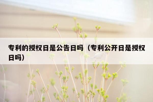 专利的授权日是公告日吗（专利公开日是授权日吗）