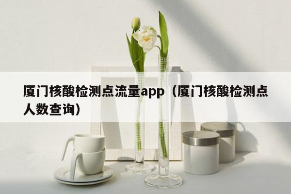 厦门核酸检测点流量app（厦门核酸检测点人数查询）