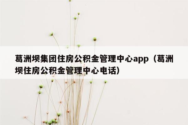 葛洲坝集团住房公积金管理中心app（葛洲坝住房公积金管理中心电话）