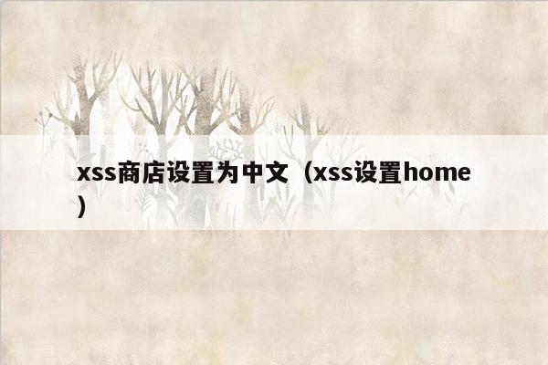 xss商店设置为中文（xss设置home）