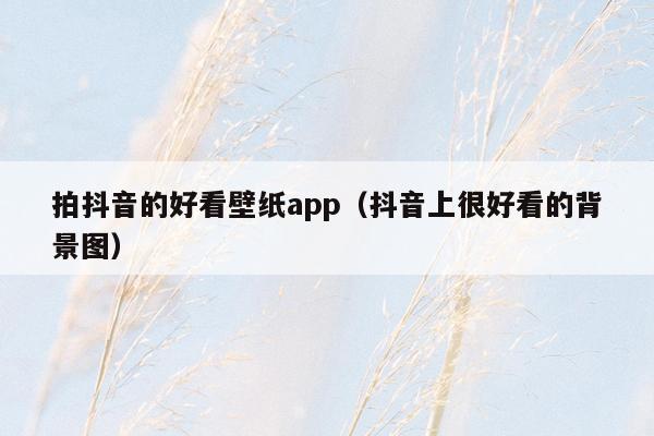 拍抖音的好看壁纸app（抖音上很好看的背景图）