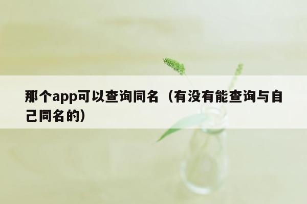 那个app可以查询同名（有没有能查询与自己同名的）