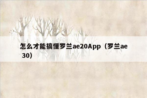 怎么才能搞懂罗兰ae20App（罗兰ae 30）