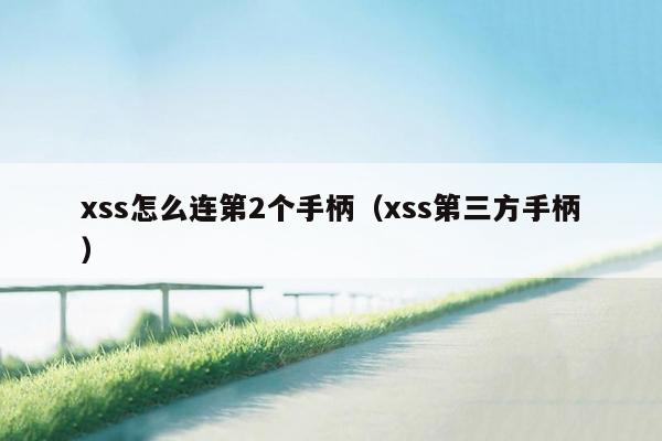 xss怎么连第2个手柄（xss第三方手柄）