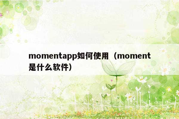 momentapp如何使用（moment是什么软件）