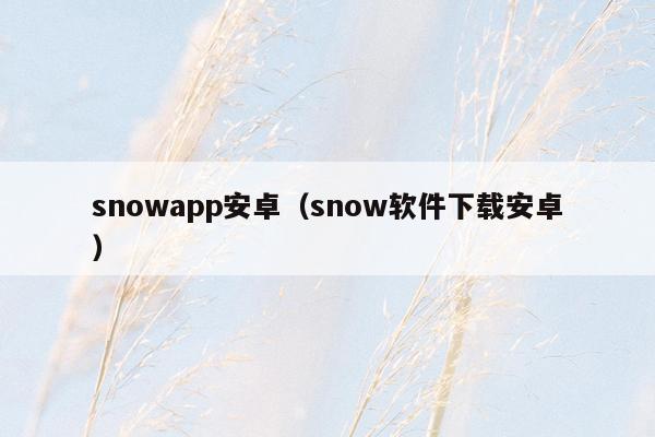 snowapp安卓（snow软件下载安卓）