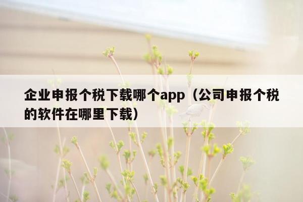 企业申报个税下载哪个app（公司申报个税的软件在哪里下载）