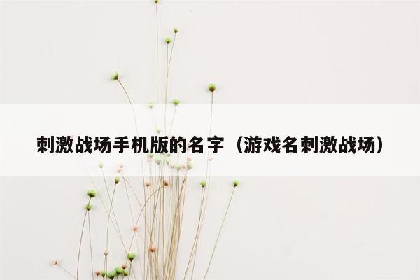 刺激战场手机版的名字（游戏名刺激战场）