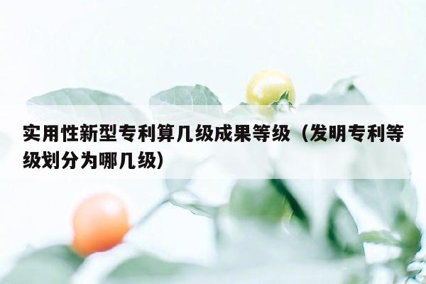 实用性新型专利算几级成果等级（发明专利等级划分为哪几级）