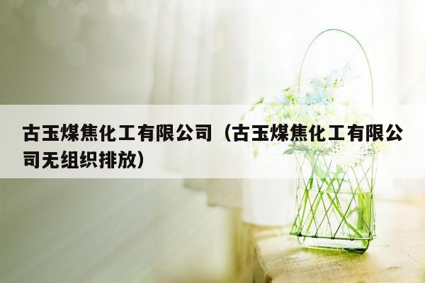 古玉煤焦化工有限公司（古玉煤焦化工有限公司无组织排放）