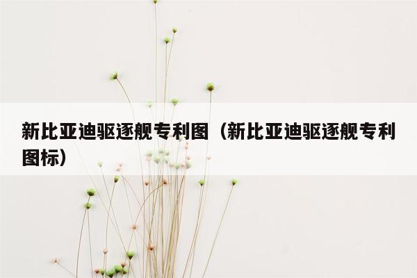 新比亚迪驱逐舰专利图（新比亚迪驱逐舰专利图标）