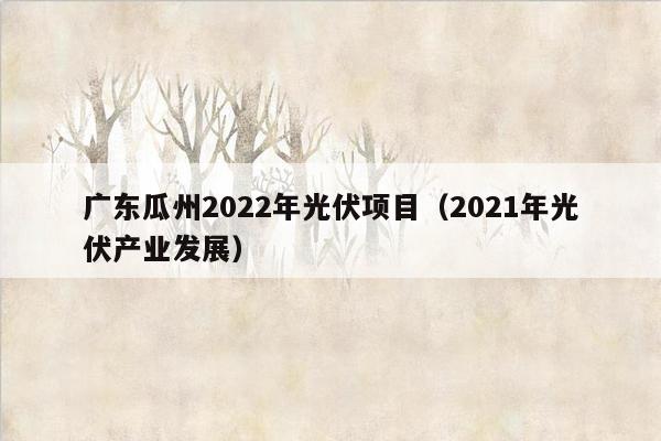 广东瓜州2022年光伏项目（2021年光伏产业发展）