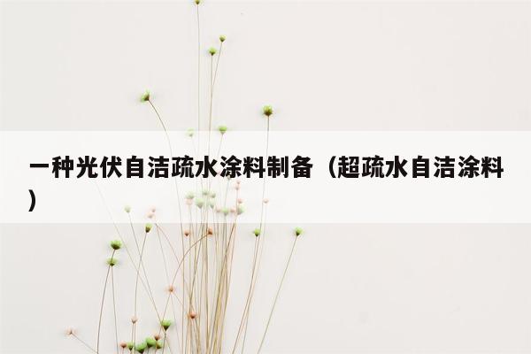 一种光伏自洁疏水涂料制备（超疏水自洁涂料）