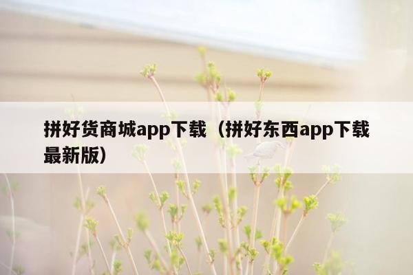 拼好货商城app下载（拼好东西app下载最新版）