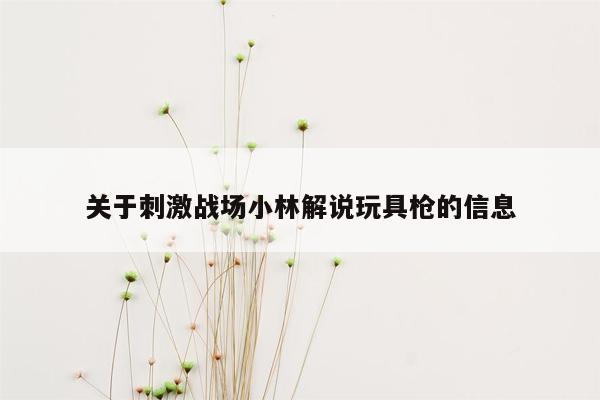 关于刺激战场小林解说玩具枪的信息