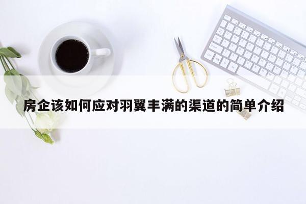 房企该如何应对羽翼丰满的渠道的简单介绍