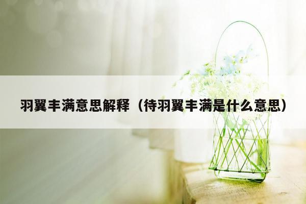 羽翼丰满意思解释（待羽翼丰满是什么意思）