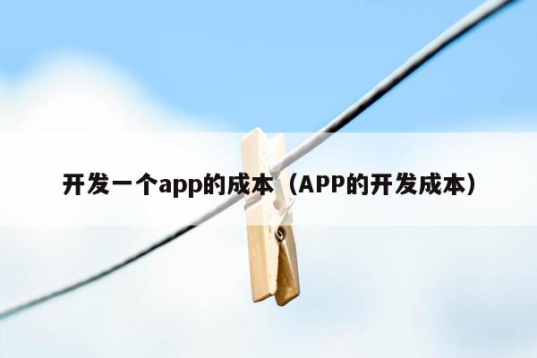 开发一个app的成本（APP的开发成本）