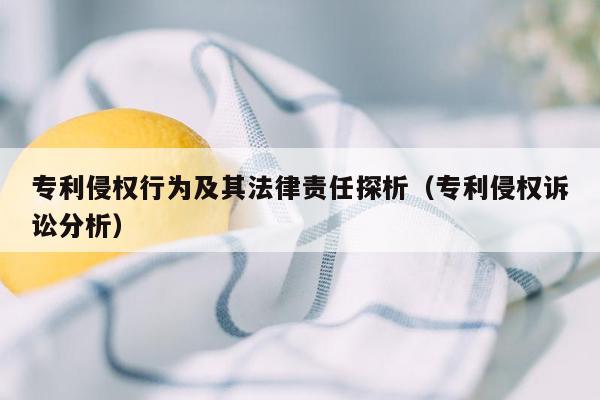 专利侵权行为及其法律责任探析（专利侵权诉讼分析）