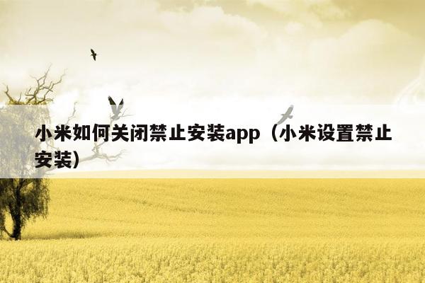 小米如何关闭禁止安装app（小米设置禁止安装）