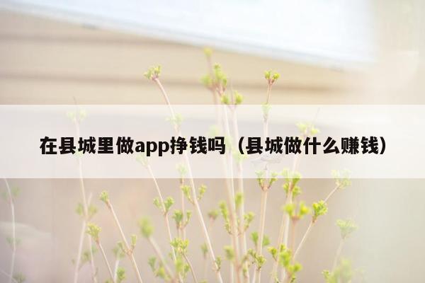 在县城里做app挣钱吗（县城做什么赚钱）