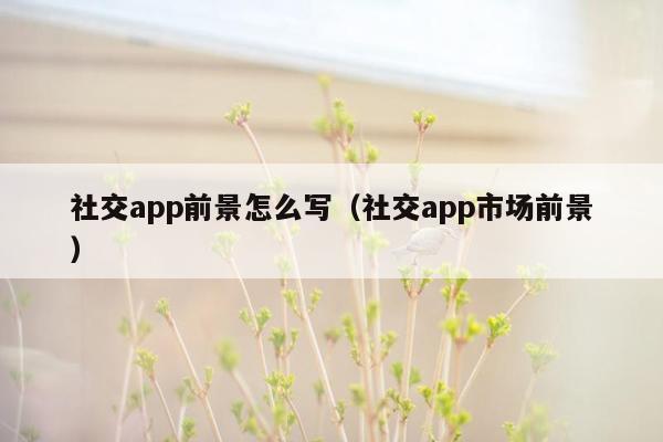 社交app前景怎么写（社交app市场前景）