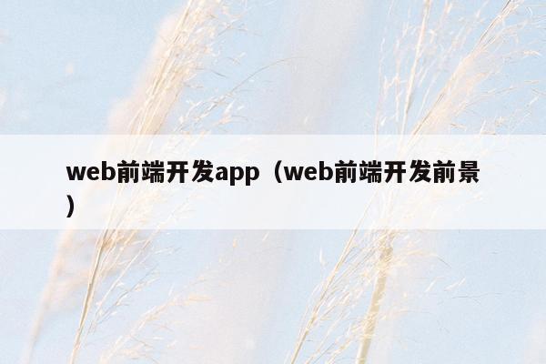 web前端开发app（web前端开发前景）