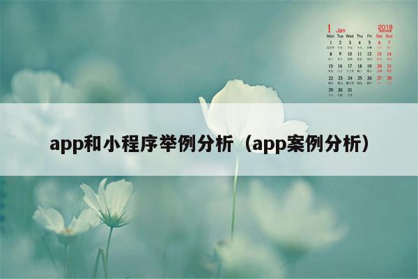 app和小程序举例分析（app案例分析）