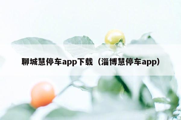 聊城慧停车app下载（淄博慧停车app）