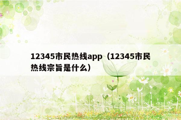 12345市民热线app（12345市民热线宗旨是什么）