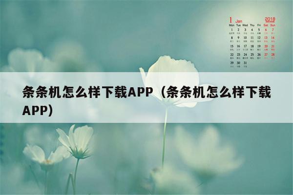 条条机怎么样下载APP（条条机怎么样下载APP）