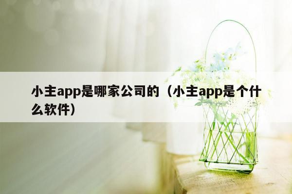 小主app是哪家公司的（小主app是个什么软件）