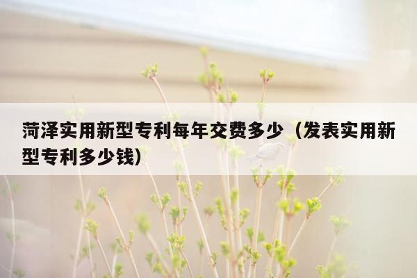 菏泽实用新型专利每年交费多少（发表实用新型专利多少钱）