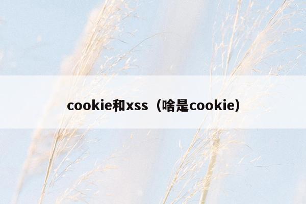 cookie和xss（啥是cookie）