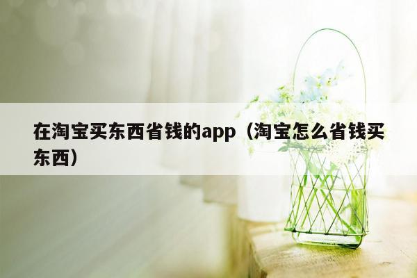 在淘宝买东西省钱的app（淘宝怎么省钱买东西）