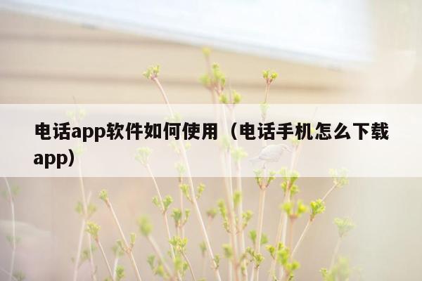 电话app软件如何使用（电话手机怎么下载app）