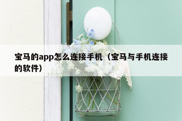 宝马的app怎么连接手机（宝马与手机连接的软件）