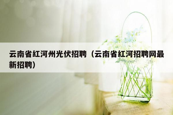 云南省红河州光伏招聘（云南省红河招聘网最新招聘）