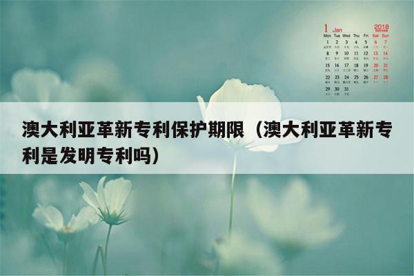 澳大利亚革新专利保护期限（澳大利亚革新专利是发明专利吗）