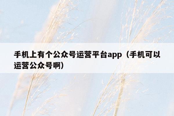 手机上有个公众号运营平台app（手机可以运营公众号啊）